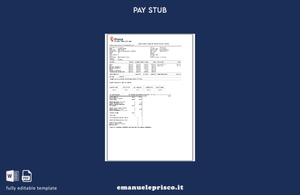 modello di busta paga Piramal Financial Services in stile verificato